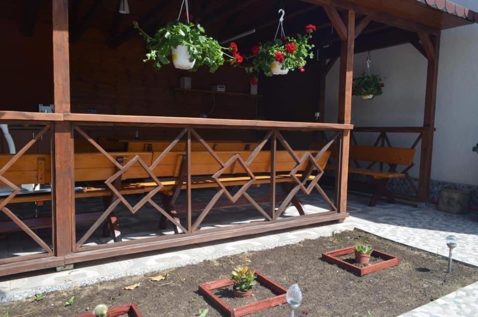 Pensiunea Savas Costineşti Exterior foto